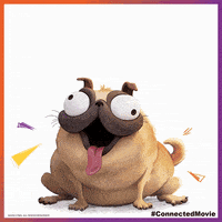 每日GIF(2021-03-24)的gif-Animation Puppy GIF by The Mitchells vs. The Machines