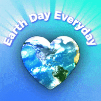 每日GIF(2021-03-28)的gif-Election 2020 World GIF by INTO ACTION
