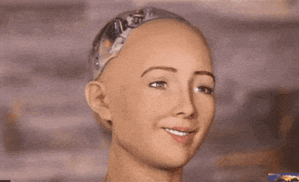 每日GIF(2021-04-01)的gif-What The Reaction GIF by MOODMAN