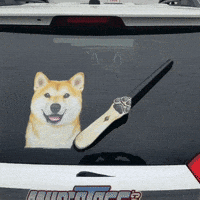 每日GIF(2021-04-02)的gif-Dog Waving GIF by WiperTags Wiper Covers