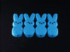 每日GIF(2021-04-04)的gif-Marshmallow Peeps Candy GIF by Bronwyn Maloney