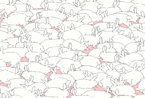 每日GIF(2021-04-04)的gif-Bunny Rabbit GIF by Bronwyn Maloney