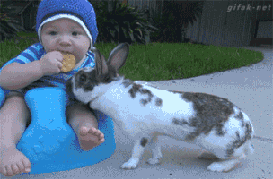 每日GIF(2021-04-04)的gif-Bunny And Baby GIF