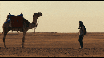 每日GIF(2021-04-06)的gif-Ramy Youssef Comedy GIF by HULU
