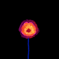 每日GIF(2021-04-07)的gif-Flower Apple GIF by Apps for Earth