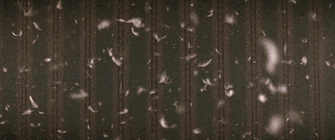 每日GIF(2021-04-08)的gif-Good Night Party Time GIF