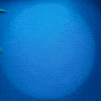 每日GIF(2021-04-08)的gif-Dance Dancing GIF by Danny Ocean