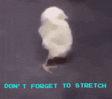每日GIF(2021-04-09)的gif-Exercise Stretching GIF