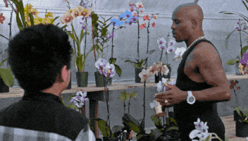 每日GIF(2021-04-10)的gif-Fresh Off The Boat Flowers GIF
