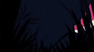每日GIF(2021-04-10)的gif-Miami Reggaeton GIF by Nuevo Rico