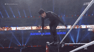 每日GIF(2021-04-12)的gif-Bad Bunny Wrestling GIF by WWE
