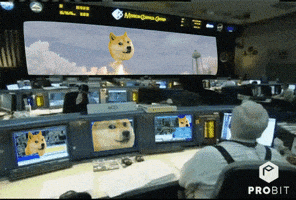 每日GIF(2021-04-14)的gif-Invest Elon Musk GIF by ProBit Exchange