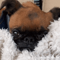 每日GIF(2021-04-15)的gif-Sad I Love You GIF