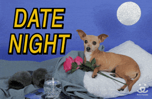 每日GIF(2021-04-16)的gif-Best Friends Love GIF by Best Friends Animal Society