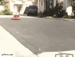 每日GIF(2021-04-17)的gif-Kid Winning GIF
