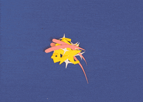 每日GIF(2021-04-17)的gif-Gold Star GIF by Mailchimp