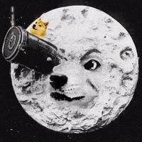 每日GIF(2021-04-18)的gif-To The Moon Doge GIF