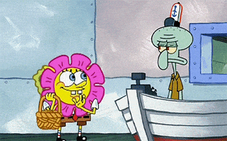 每日GIF(2021-04-18)的gif-Flower Petals GIF by SpongeBob SquarePants