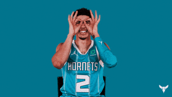 每日GIF(2021-04-19)的gif-Lamelo Ball Nba GIF by Charlotte Hornets