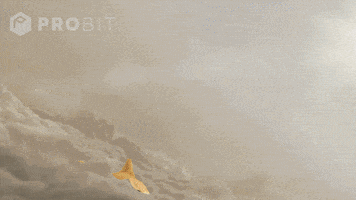 每日GIF(2021-04-19)的gif-Elon Musk Meme GIF by ProBit Exchange