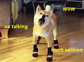 每日GIF(2021-04-20)的gif-Sarcastic Meme GIF
