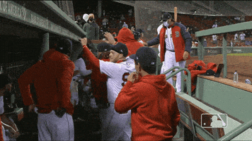 每日GIF(2021-04-21)的gif-Coming Through Regular Season GIF by MLB