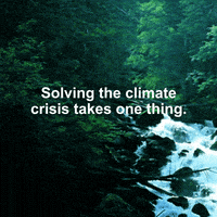 每日GIF(2021-04-21)的gif-Climate Change Trees GIF by INTO ACTION
