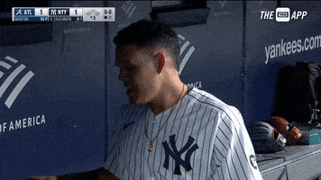 每日GIF(2021-04-25)的gif-Happy New York GIF by YES Network