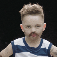 每日GIF(2021-04-27)的gif-Geelong Cats Flirt GIF by NAB