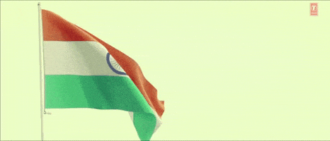 每日GIF(2021-04-30)的gif-Tu Bhoola Jise India GIF by bypriyashah