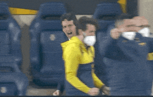 每日GIF(2021-04-30)的gif-Vamos Lets Go GIF by UEFA