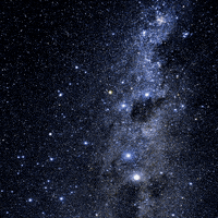 每日GIF(2021-05-05)的gif-May The Fourth Be With You Star Wars GIF by Percolate Galactic