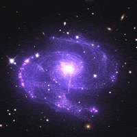 每日GIF(2021-05-08)的gif-Outer Space GIF by xponentialdesign