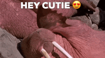每日GIF(2021-05-11)的gif-Hey Babe Flirting GIF by MOODMAN