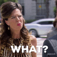 每日GIF(2021-05-11)的gif-Episode 2 What GIF by Parks and Recreation