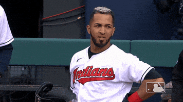 每日GIF(2021-05-14)的gif-Major League Baseball Sport GIF by MLB