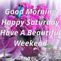 每日GIF(2021-05-16)的gif-Happy Saturday GIF
