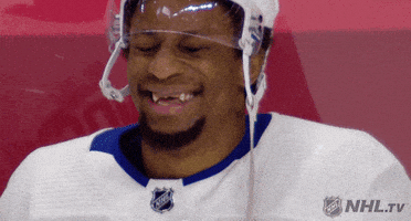 每日GIF(2021-05-17)的gif-Toronto Maple Leafs Reaction GIF by NHL