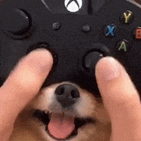 每日GIF(2021-05-18)的gif-Game Dog GIF by FaZe Clan