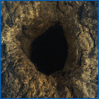 每日GIF(2021-05-19)的gif-Pay Me GIF by Halifax