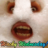 每日GIF(2021-05-20)的gif-Wacky Wednesday GIF