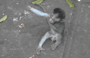 每日GIF(2021-05-20)的gif-I Love You Reaction GIF