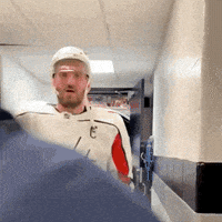 每日GIF(2021-05-20)的gif-Ice Hockey Sport GIF by NHL