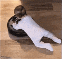 每日GIF(2021-05-22)的gif-Baby GIF