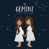 每日GIF(2021-05-22)的gif-Twins Gemini GIF by evite