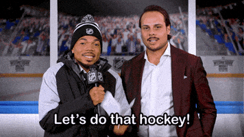 每日GIF(2021-05-23)的gif-Ice Hockey Sport GIF by NHL