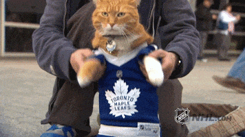 每日GIF(2021-05-25)的gif-Ice Hockey Cat GIF by NHL