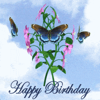 每日GIF(2021-05-26)的gif-Happy Birthday GIF
