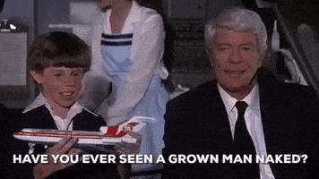 每日GIF(2021-05-27)的gif-Peter Graves airplane movie GIF