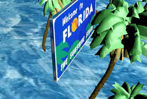 每日GIF(2021-05-28)的gif-buenos aires florida GIF by /////MONOARTCHIVES//////